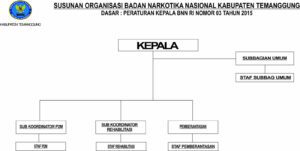 Struktur Organisasi